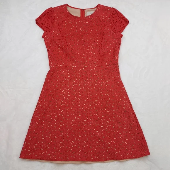 LOFT | Dresses | Loft Ann Taylor Burnt Orange Lace Overlay Lined Dress A  Line Cap Sleeve Size 4 | Poshmark
